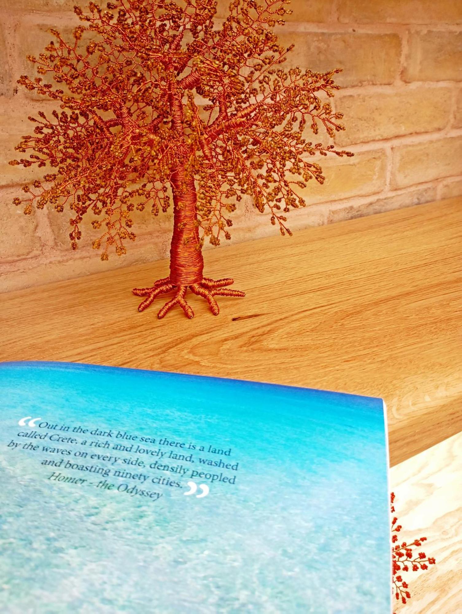Hotel Domus Vivendi Chrissi Akti Chania